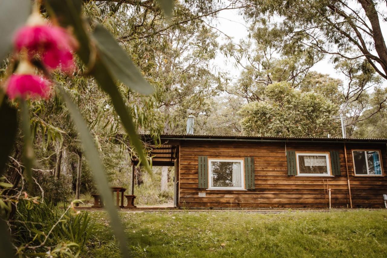 Gum Grove Chalets Denmark Esterno foto