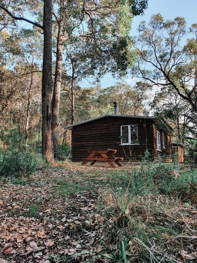 Gum Grove Chalets Denmark Esterno foto